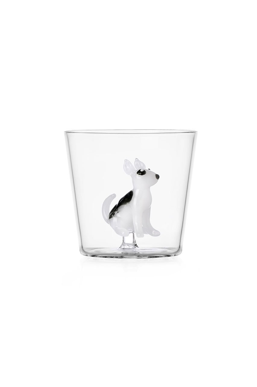 【イッケンドルフ/ICHENDORF / GOODS】のDOGS タンブラー 人気、トレンドファッション・服の通販 founy(ファニー) 　イタリア　Italy　ガラス　Glass, Glassware　グラス　Glass, Eyewear　シンプル　Simple, Minimal　タンブラー　Tumbler, Travel Mug　テーブル　Table, Dining Table　ミラノ　Milano Style, Italian-Inspired　再入荷　Restock / Back in Stock　 other-1|ID: prp329100004958102 ipo3291000000037202353