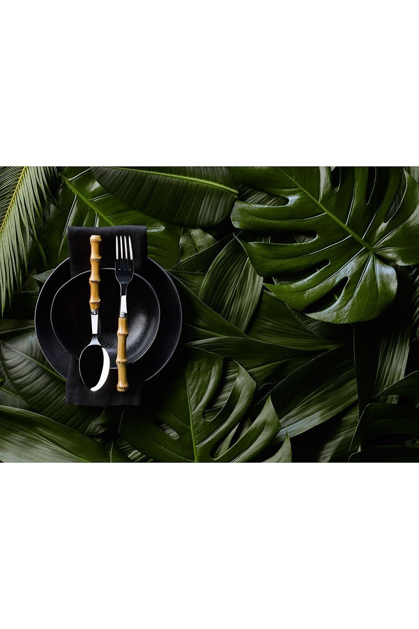 【セーバー/SABRE / GOODS】のバンブー テーブルスプーン シャイニー 人気、トレンドファッション・服の通販 founy(ファニー) 　クラシック　Classic, Timeless Style　コレクション　Collection, Seasonal Line　シャイニー　Shiny, Glossy Finish　テーブル　Table, Dining Table　ヴィンテージ　Vintage Style　other-5|ID: prp329100004958799 ipo3291000000037206298