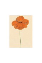 【その他のブランド/Other】のOrange Vallmo【メーカー取り寄せ】 30×40cm|ID: prp329100004959695 ipo3291000000037210915