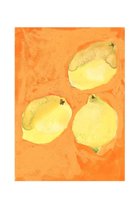 【その他のブランド/Other】のLemons【メーカー取り寄せ】 50×70cm|ID: prp329100004959760 ipo3291000000037211298