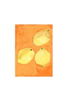 【その他のブランド/Other】のLemons【メーカー取り寄せ】 30×40cm|ID: prp329100004959760 ipo3291000000037211299