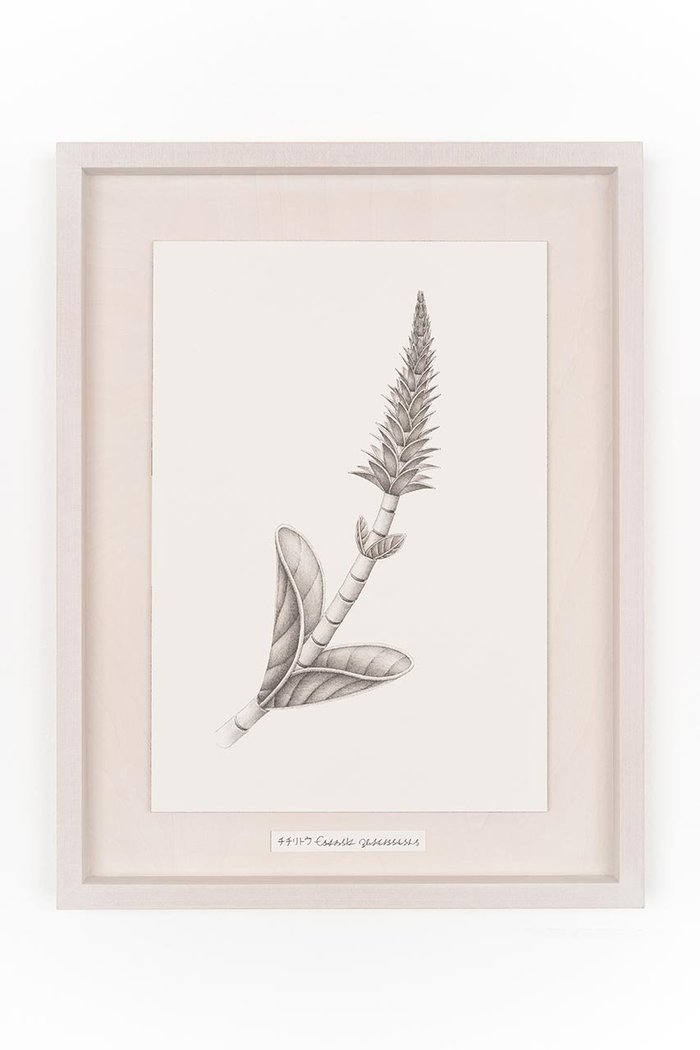 【アートオテーク/ARTOTHEQUE / GOODS】の【則松 夏凜】チチリトウ インテリア・キッズ・メンズ・レディースファッション・服の通販 founy(ファニー) https://founy.com/ アクリル Acrylic Material ガラス Glass, Glassware メンズ Men's, Menswear 夏 Summer |ID: prp329100004959784 ipo3291000000037211412