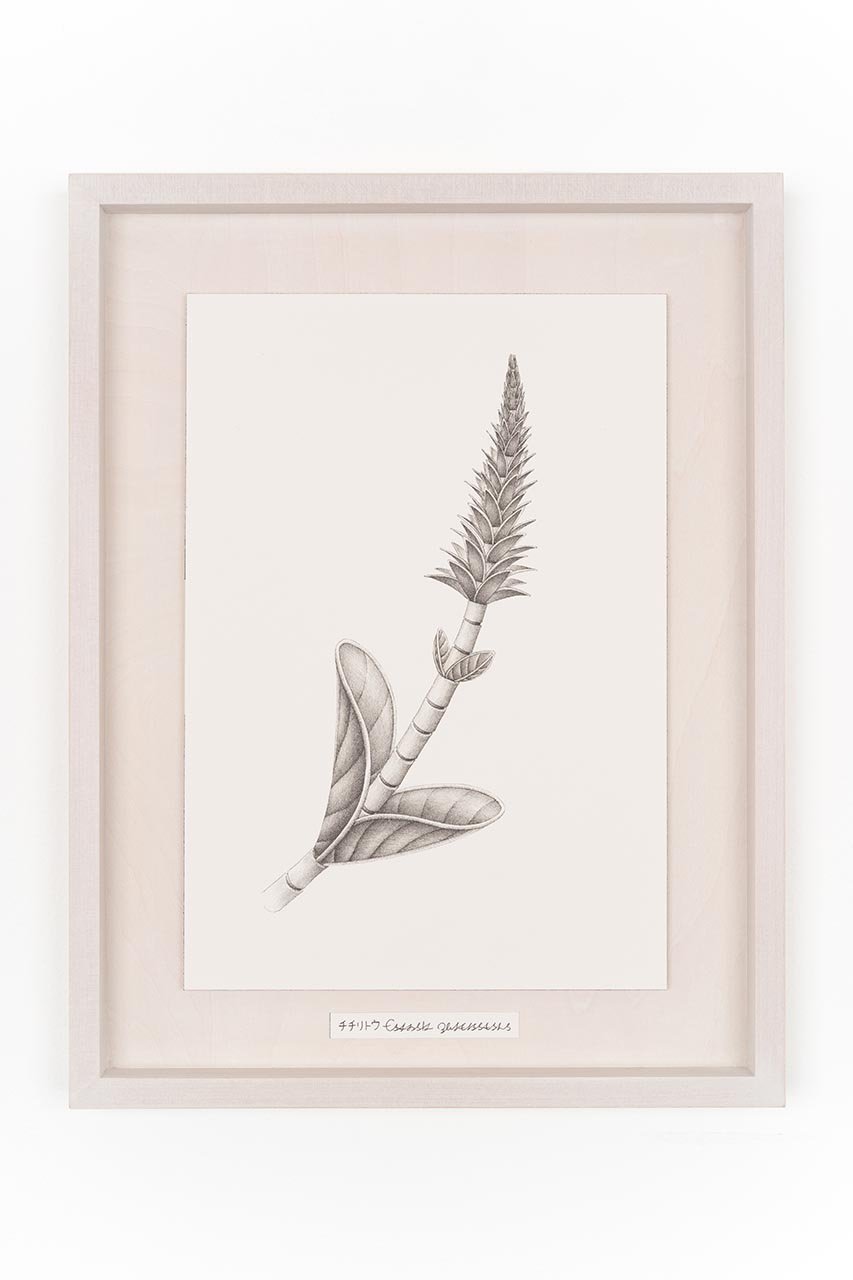 【アートオテーク/ARTOTHEQUE / GOODS】の【則松 夏凜】チチリトウ 人気、トレンドファッション・服の通販 founy(ファニー) 　アクリル　Acrylic Material　ガラス　Glass, Glassware　メンズ　Men's, Menswear　夏　Summer　 other-1|ID: prp329100004959784 ipo3291000000037211412