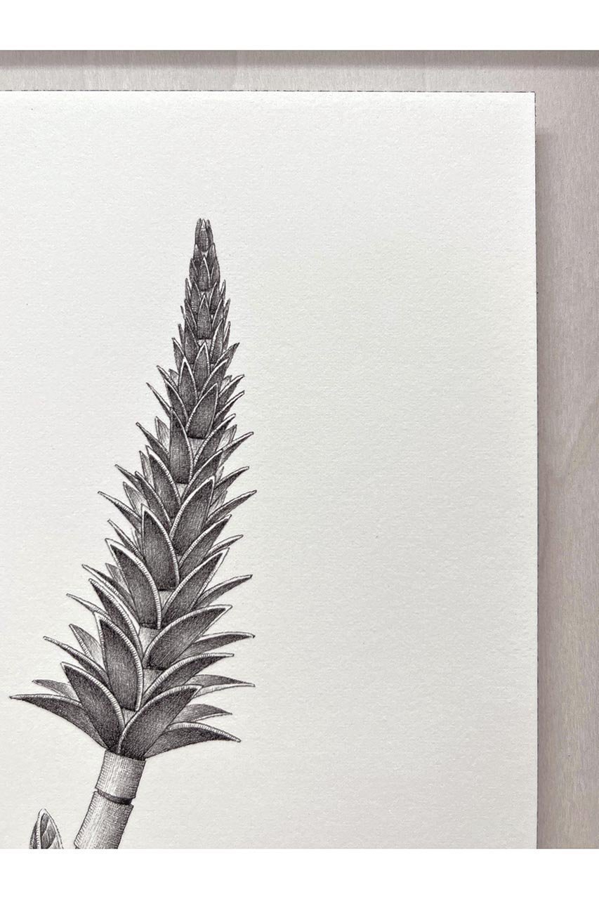 【アートオテーク/ARTOTHEQUE / GOODS】の【則松 夏凜】チチリトウ 人気、トレンドファッション・服の通販 founy(ファニー) 　アクリル　Acrylic Material　ガラス　Glass, Glassware　メンズ　Men's, Menswear　夏　Summer　other-2|ID: prp329100004959784 ipo3291000000037211414