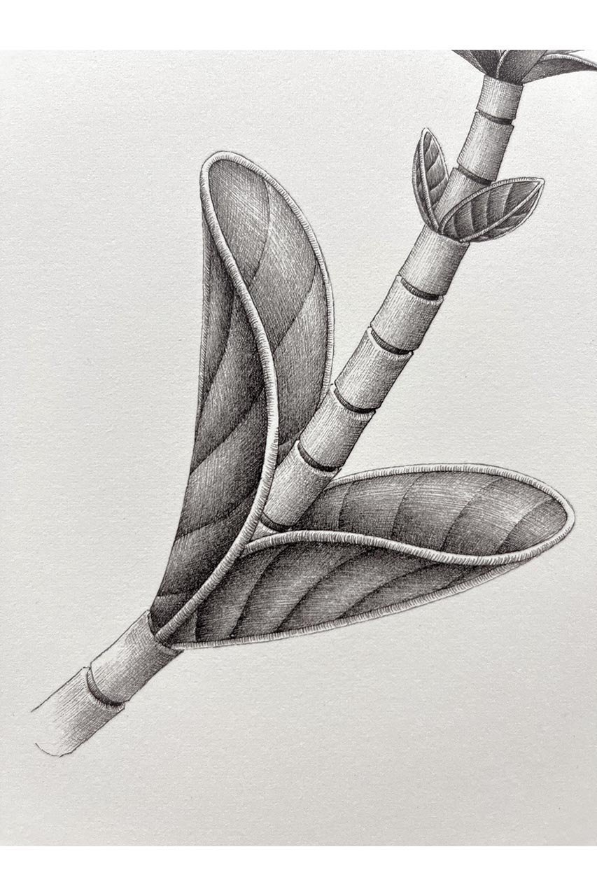 【アートオテーク/ARTOTHEQUE / GOODS】の【則松 夏凜】チチリトウ 人気、トレンドファッション・服の通販 founy(ファニー) 　アクリル　Acrylic Material　ガラス　Glass, Glassware　メンズ　Men's, Menswear　夏　Summer　other-3|ID: prp329100004959784 ipo3291000000037211415