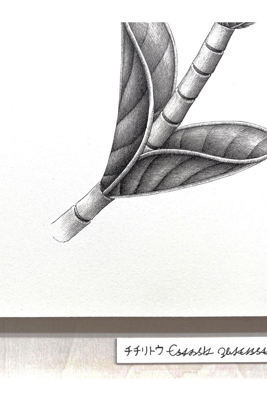 【アートオテーク/ARTOTHEQUE / GOODS】の【則松 夏凜】チチリトウ 人気、トレンドファッション・服の通販 founy(ファニー) 　アクリル　Acrylic Material　ガラス　Glass, Glassware　メンズ　Men's, Menswear　夏　Summer　other-4|ID: prp329100004959784 ipo3291000000037211416