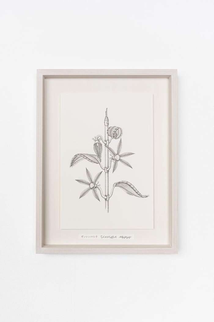 【アートオテーク/ARTOTHEQUE / GOODS】の【則松 夏凜】センシンバシラ インテリア・キッズ・メンズ・レディースファッション・服の通販 founy(ファニー) https://founy.com/ アクリル Acrylic Material ガラス Glass, Glassware メンズ Men's, Menswear 夏 Summer |ID: prp329100004959785 ipo3291000000037211418