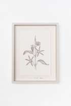 【アートオテーク/ARTOTHEQUE / GOODS】の【則松 夏凜】センシンバシラ -|ID: prp329100004959785 ipo3291000000037211419