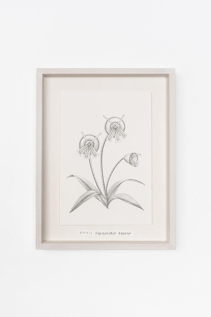 【アートオテーク/ARTOTHEQUE / GOODS】の【則松 夏凜】ホウイスミレ インテリア・キッズ・メンズ・レディースファッション・服の通販 founy(ファニー) https://founy.com/ アクリル Acrylic Material ガラス Glass, Glassware メンズ Men's, Menswear 夏 Summer |ID: prp329100004959786 ipo3291000000037211424