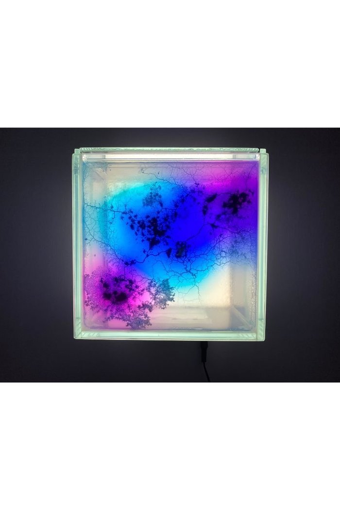 【ミート ユア アート/MEET YOUR ART / GOODS】の【齋藤 帆奈】Eaten Colors ver.1 インテリア・キッズ・メンズ・レディースファッション・服の通販 founy(ファニー) https://founy.com/ ガラス Glass, Glassware パターン Pattern, Design Print 卒業式 Graduation Ceremony |ID: prp329100004959792 ipo3291000000037211451