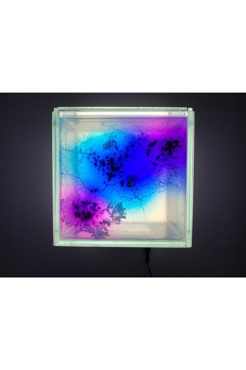 【ミート ユア アート/MEET YOUR ART / GOODS】の【齋藤 帆奈】Eaten Colors ver.1 インテリア・キッズ・メンズ・レディースファッション・服の通販 founy(ファニー) 　ガラス　Glass, Glassware　パターン　Pattern, Design Print　卒業式　Graduation Ceremony　-|ID: prp329100004959792 ipo3291000000037211452