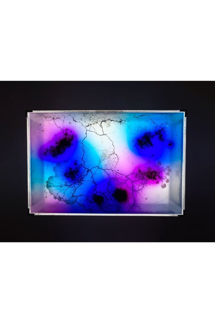 【ミート ユア アート/MEET YOUR ART / GOODS】の【受注生産】【齋藤 帆奈】Eaten Colors ver.1 rectangle インテリア・キッズ・メンズ・レディースファッション・服の通販 founy(ファニー) https://founy.com/ ガラス Glass, Glassware パターン Pattern, Design Print 卒業式 Graduation Ceremony |ID: prp329100004959793 ipo3291000000037211454