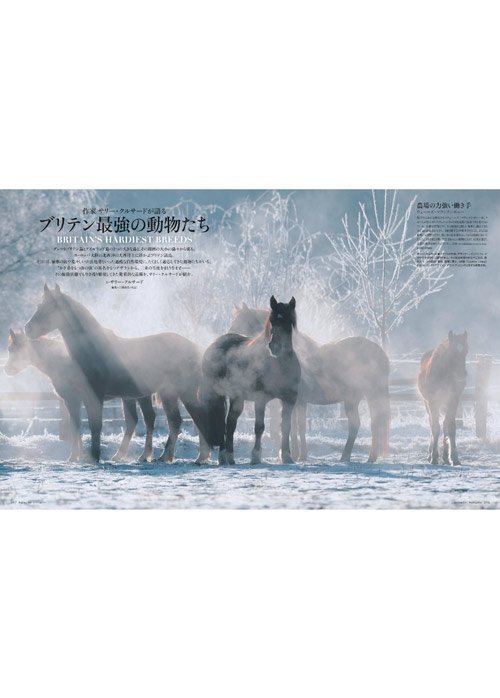 【ハースト婦人画報社/Hearst Fujingaho / GOODS】の【送料無料】婦人画報 2025年 12月号 増刊「平沢進」特別版(2025/10/31発売) 人気、トレンドファッション・服の通販 founy(ファニー) 　12月号　December Issue　雑誌　Magazine, Fashion Magazine　送料無料　Free Shipping　クリスマス X'mas　Christmas / X'mas　other-7|ID: prp329100004959816 ipo3291000000037211534