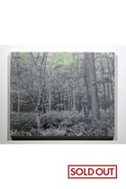 【アートオテーク/ARTOTHEQUE / GOODS】の【能條 雅由】Mirage #108 -|ID: prp329100004959885 ipo3291000000037211902