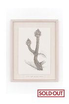 【アートオテーク/ARTOTHEQUE / GOODS】の【則松 夏凜】未来草案(リュウショウホウシ) 人気、トレンドファッション・服の通販 founy(ファニー) 人気 Popular, Best Seller メンズ Men's, Menswear モチーフ Motif, Design Theme 夏 Summer thumbnail -|ID: prp329100004959979 ipo3291000000037212322