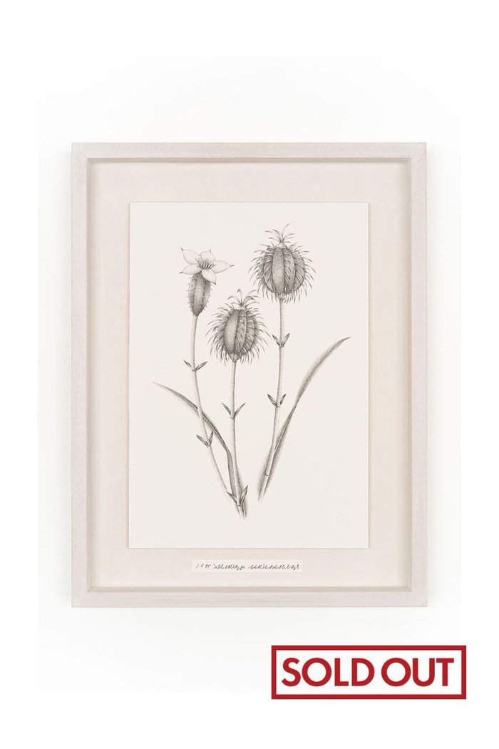 【アートオテーク/ARTOTHEQUE / GOODS】の【則松 夏凜】未来草案(ノイガ) インテリア・キッズ・メンズ・レディースファッション・服の通販 founy(ファニー) https://founy.com/ セーター Sweater, Knitwear フォルム Silhouette, Form メンズ Men's, Menswear モチーフ Motif, Design Theme 冬 Winter / This Winter 夏 Summer |ID: prp329100004959980 ipo3291000000037212323