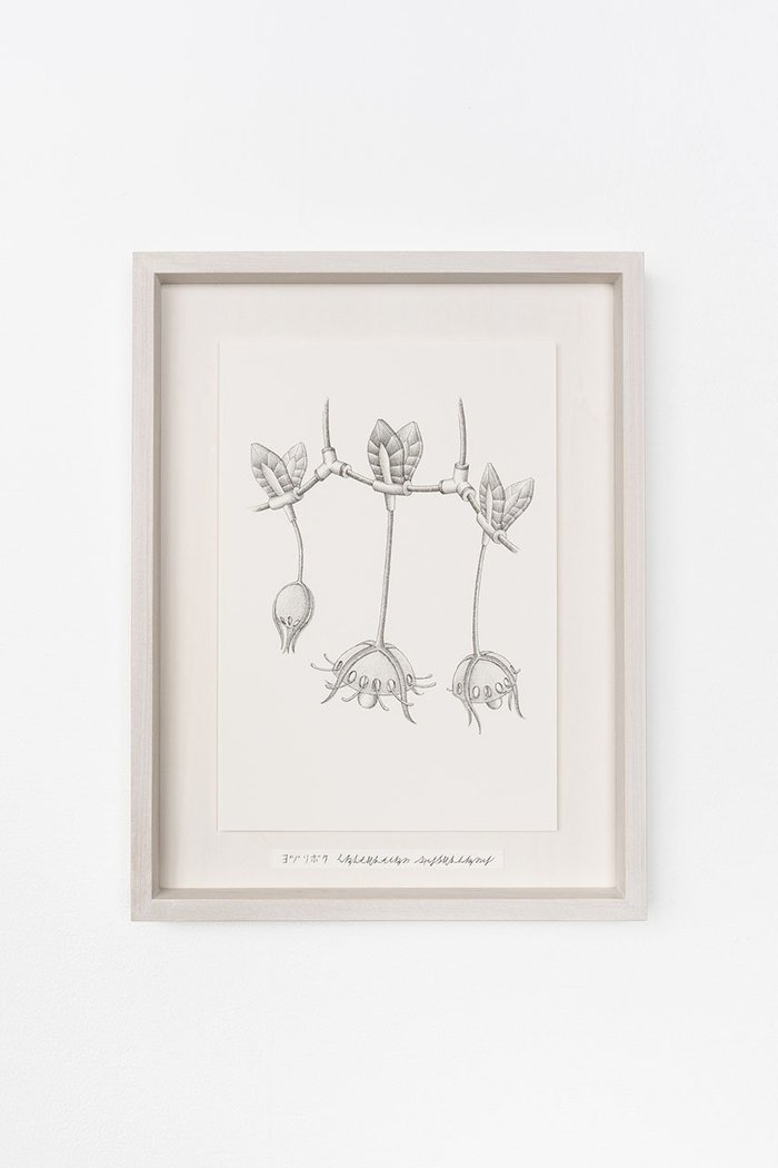 【アートオテーク/ARTOTHEQUE / GOODS】の【則松 夏凜】ヨツリボク インテリア・キッズ・メンズ・レディースファッション・服の通販 founy(ファニー) https://founy.com/ アクリル Acrylic Material ガラス Glass, Glassware 傘 Umbrella, Parasol ストリング String, Drawstring メンズ Men's, Menswear 夏 Summer |ID: prp329100004959981 ipo3291000000037212325