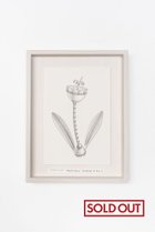 【アートオテーク/ARTOTHEQUE / GOODS】の【則松 夏凜】オウカギンジョウ 人気、トレンドファッション・服の通販 founy(ファニー) アクリル Acrylic Material ガラス Glass, Glassware グラス Glass, Eyewear チューリップ Tube, Tube Top メンズ Men's, Menswear モチーフ Motif, Design Theme 夏 Summer thumbnail -|ID: prp329100004959982 ipo3291000000037212328