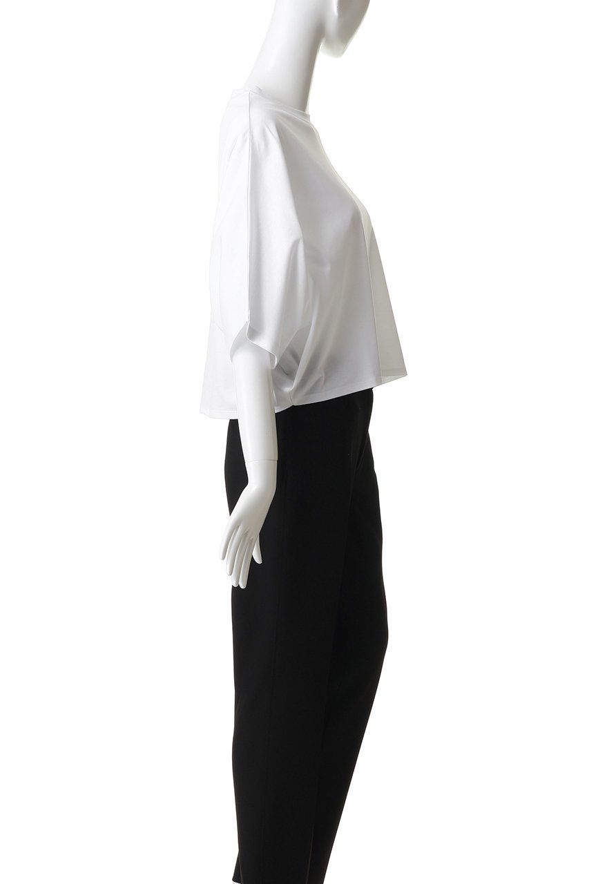 【プルミエ アロンディスモン/1er Arrondissement】のハイゲージポンチクロップドTシャツ 人気、トレンドファッション・服の通販 founy(ファニー) 　ファッション　Fashion　レディースファッション　Fashion for Women　トップス・カットソー　Cut & Sew Tops　シャツ・ブラウス・オフィスカジュアル　Elegant Blouses & Button-Ups　ロングTシャツ・Tシャツ　Longline T-Shirts & Tees　カットソー・ベーシックTシャツ　Cut-and-Sewn Tops / Stretch Tees & Basics　クロップド　Cropped, Short Length　ショート　Short, Short Length　シンプル　Simple, Minimal　スリーブ　Sleeve, Long Sleeve / Short Sleeve　バランス　Balance, Style Balance　新作・新入荷　New Arrivals / New In　other-3|ID: prp329100004963319 ipo3291000000037233861