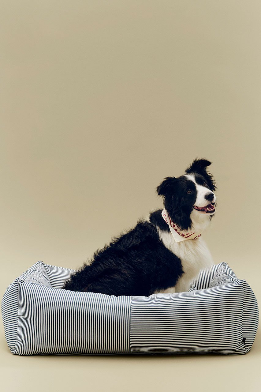 【ヘイ/HAY / GOODS】のHAY DOGS BED ZIP L 人気、トレンドファッション・服の通販 founy(ファニー) 　アクセサリー　Fashion Accessories　カラフル　Colorful Design　クッション　Cushion, Throw Pillow　タンブラー　Tumbler, Travel Mug　ブロッキング　Color Blocking, Panel Design　新作・新入荷　New Arrivals / New In　犬　Dog　ホーム・キャンプ・アウトドア・お取り寄せ　Home Living / Home & Lifestyle / Camping Gear / Outdoor Camping　ペットグッズ　Pet Supplies　other-3|ID: prp329100004963411 ipo3291000000037234529