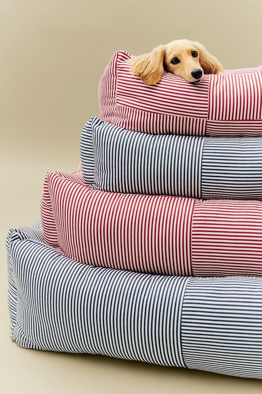 【ヘイ/HAY / GOODS】のHAY DOGS BED ZIP L 人気、トレンドファッション・服の通販 founy(ファニー) 　アクセサリー　Fashion Accessories　カラフル　Colorful Design　クッション　Cushion, Throw Pillow　タンブラー　Tumbler, Travel Mug　ブロッキング　Color Blocking, Panel Design　新作・新入荷　New Arrivals / New In　犬　Dog　ホーム・キャンプ・アウトドア・お取り寄せ　Home Living / Home & Lifestyle / Camping Gear / Outdoor Camping　ペットグッズ　Pet Supplies　other-8|ID: prp329100004963411 ipo3291000000037234534