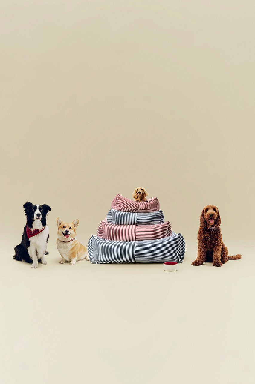 【ヘイ/HAY / GOODS】のHAY DOGS BED ZIP S 人気、トレンドファッション・服の通販 founy(ファニー) 　アクセサリー　Fashion Accessories　カラフル　Colorful Design　クッション　Cushion, Throw Pillow　タンブラー　Tumbler, Travel Mug　ブロッキング　Color Blocking, Panel Design　新作・新入荷　New Arrivals / New In　犬　Dog　ホーム・キャンプ・アウトドア・お取り寄せ　Home Living / Home & Lifestyle / Camping Gear / Outdoor Camping　ペットグッズ　Pet Supplies　other-4|ID: prp329100004963413 ipo3291000000037234548