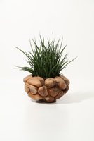 【ザ ファーム ユニバーサル/the Farm UNIVERSAL / GOODS】のサンセベリア・ファーンウッド 大人の最旬トレンドファッション＆コーディネート founy(ファウニー) 春 Spring 秋 Autumn フラワー Flower, Floral 冬 Winter / This Winter おすすめ Recommended / Our Picks 夏 Summer 新作・新入荷 New Arrivals / New In |ID:prp329100004971010