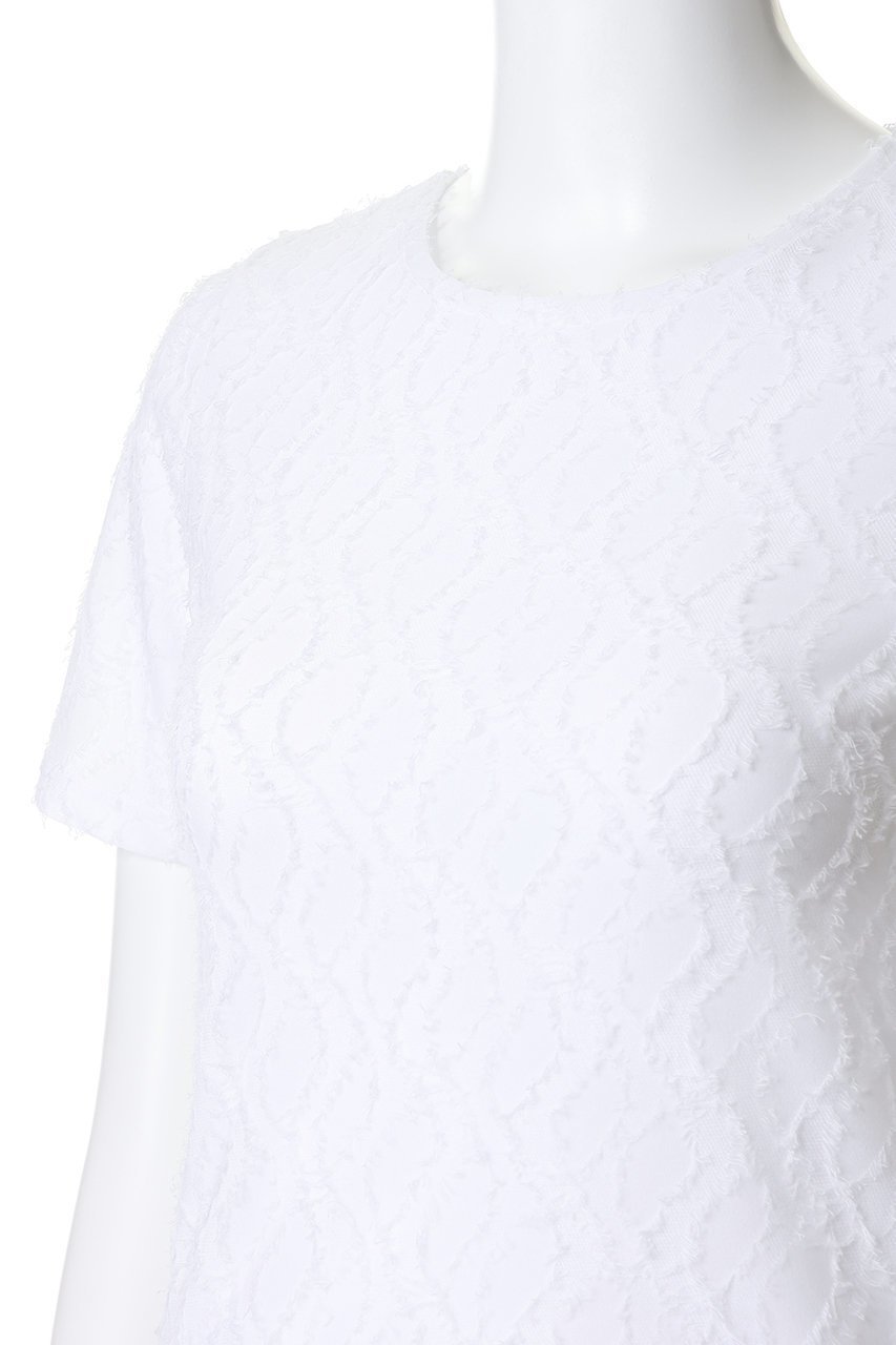 【ミディウミソリッド/MIDIUMISOLID】のjacquard c/neck sheer inner インナー 大人の最旬トレンドファッション＆コーディネート founy(ファウニー) 　ファッション　Fashion　レディースファッション　Fashion for Women　トップス・カットソー　Cut & Sew Tops　シャツ・ブラウス・オフィスカジュアル　Elegant Blouses & Button-Ups　ロングTシャツ・Tシャツ　Longline T-Shirts & Tees　カットソー・ベーシックTシャツ　Cut-and-Sewn Tops / Stretch Tees & Basics　インナー　Innerwear　ウェーブ　Wavy Pattern　キャミ　Camisole, Cami Top　コンパクト　Compact, Small Size　ショート　Short, Short Length　ジャカード／ジャガード　Jacquard, Woven Pattern　ジャケット　Jacket, Outerwear　スリーブ　Sleeve, Long Sleeve / Short Sleeve　夏　Summer　新作・新入荷　New Arrivals / New In　春　Spring　秋　Autumn　other-5|ID: prp329100004975524 ipo3291000000037298264