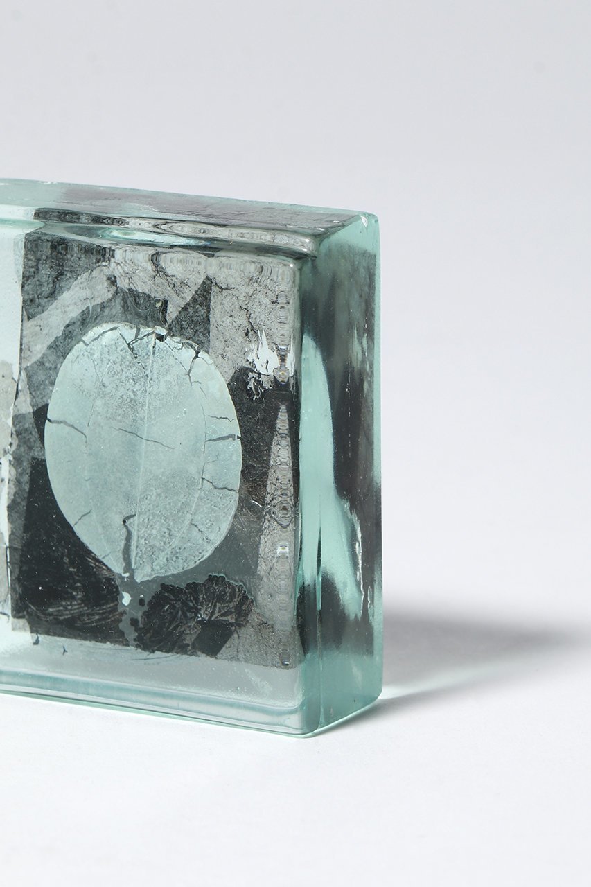 【その他のブランド/Other】のBotanical Cube サンキライ 大人の最旬トレンドファッション＆コーディネート founy(ファウニー) 　ガラス　Glass, Glassware　新作・新入荷　New Arrivals / New In　other-4|ID: prp329100004984071 ipo3291000000037336570