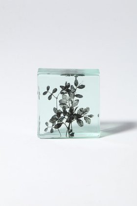 【その他のブランド/Other】のBotanical Cube 早春のカラスノエンドウ 大人の最旬トレンドファッション＆コーディネート founy(ファウニー) ガラス Glass, Glassware 新作・新入荷 New Arrivals / New In |ID:prp329100004984072