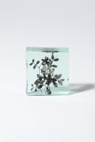 【その他のブランド/Other】のBotanical Cube 早春のカラスノエンドウ 大人の最旬トレンドファッション＆コーディネート founy(ファウニー) ガラス Glass, Glassware 新作・新入荷 New Arrivals / New In |ID:prp329100004984072