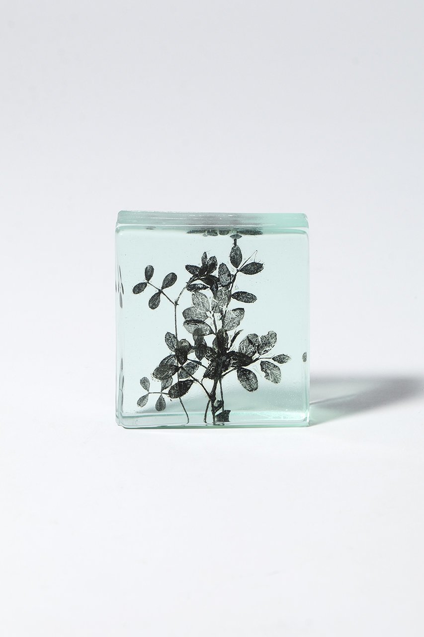 【その他のブランド/Other】のBotanical Cube 早春のカラスノエンドウ インテリア・キッズ・メンズ・レディースファッション・服の通販 founy(ファウニー) 　ガラス　Glass, Glassware　新作・新入荷　New Arrivals / New In　-|ID: prp329100004984072 ipo3291000000037336582