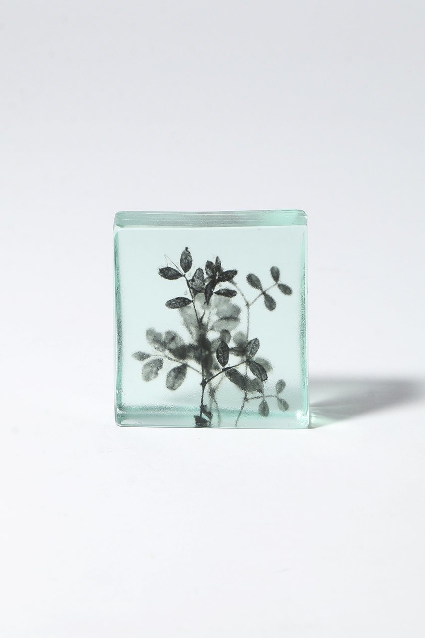 【その他のブランド/Other】のBotanical Cube 早春のカラスノエンドウ 大人の最旬トレンドファッション＆コーディネート founy(ファウニー) 　ガラス　Glass, Glassware　新作・新入荷　New Arrivals / New In　other-2|ID: prp329100004984072 ipo3291000000037336584