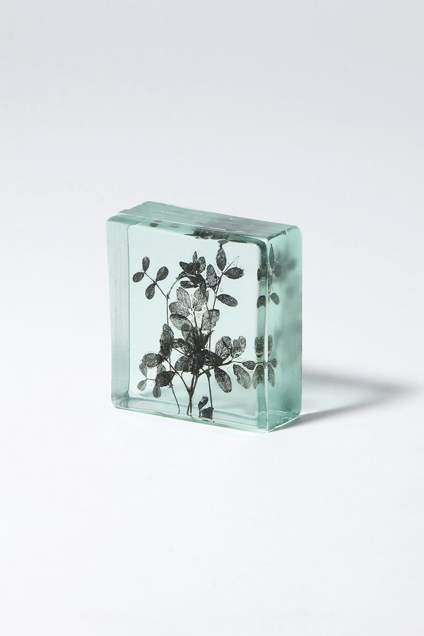 【その他のブランド/Other】のBotanical Cube 早春のカラスノエンドウ 大人の最旬トレンドファッション＆コーディネート founy(ファウニー) 　ガラス　Glass, Glassware　新作・新入荷　New Arrivals / New In　other-3|ID: prp329100004984072 ipo3291000000037336586