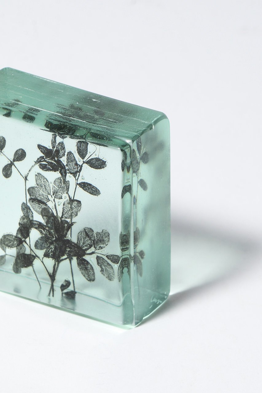 【その他のブランド/Other】のBotanical Cube 早春のカラスノエンドウ 大人の最旬トレンドファッション＆コーディネート founy(ファウニー) 　ガラス　Glass, Glassware　新作・新入荷　New Arrivals / New In　other-4|ID: prp329100004984072 ipo3291000000037336587