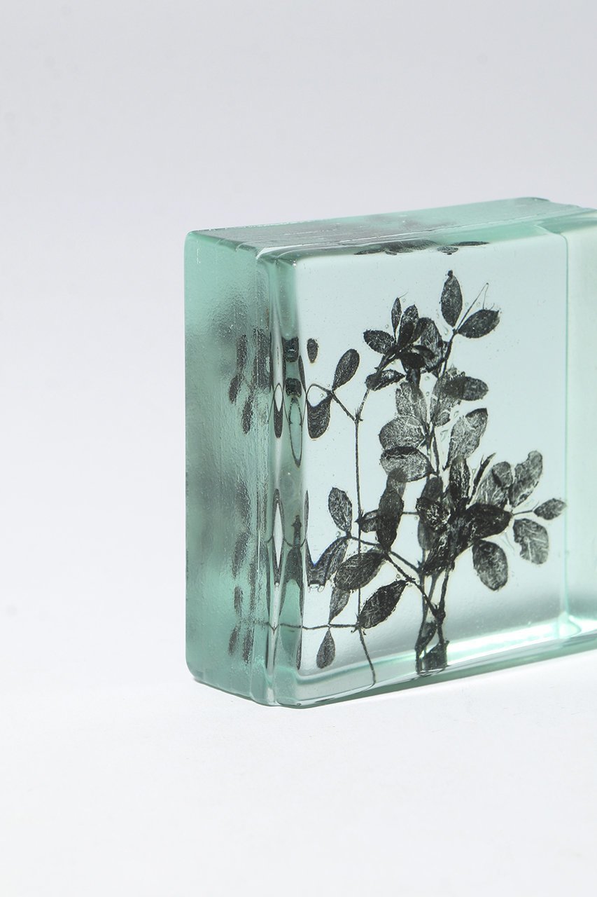 【その他のブランド/Other】のBotanical Cube 早春のカラスノエンドウ 大人の最旬トレンドファッション＆コーディネート founy(ファウニー) 　ガラス　Glass, Glassware　新作・新入荷　New Arrivals / New In　other-5|ID: prp329100004984072 ipo3291000000037336589