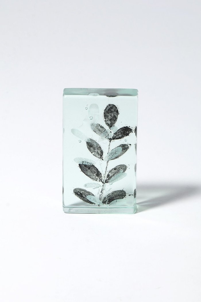 【ミエ マツバラ/Mie Matsuyama / GOODS】のBotanical Cube ハリエンジュ インテリア・キッズ・メンズ・レディースファッション・服の通販 founy(ファウニー) https://founy.com/ ガラス Glass, Glassware 新作・新入荷 New Arrivals / New In |ID: prp329100004984074 ipo3291000000037336598