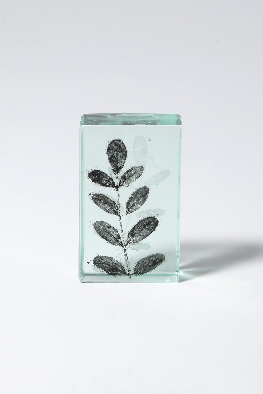 【その他のブランド/Other】のBotanical Cube ハリエンジュ 大人の最旬トレンドファッション＆コーディネート founy(ファウニー) 　ガラス　Glass, Glassware　新作・新入荷　New Arrivals / New In　other-2|ID: prp329100004984074 ipo3291000000037336601
