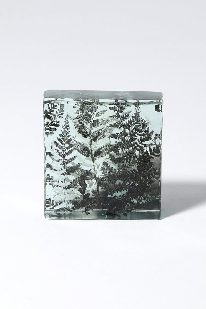 【ミエ マツバラ/Mie Matsuyama / GOODS】のBotanical Cube シダの庭 II インテリア・キッズ・メンズ・レディースファッション・服の通販 founy(ファウニー) https://founy.com/ ガラス Glass, Glassware 新作・新入荷 New Arrivals / New In |ID: prp329100004984077 ipo3291000000037336615