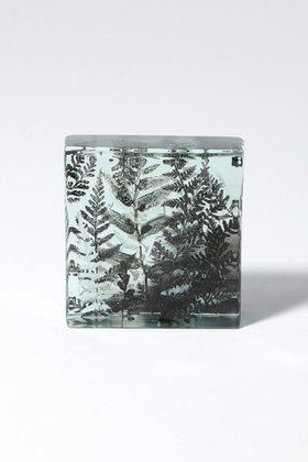【その他のブランド/Other】のBotanical Cube シダの庭 II 大人の最旬トレンドファッション＆コーディネート founy(ファウニー) ガラス Glass, Glassware 新作・新入荷 New Arrivals / New In |ID:prp329100004984077
