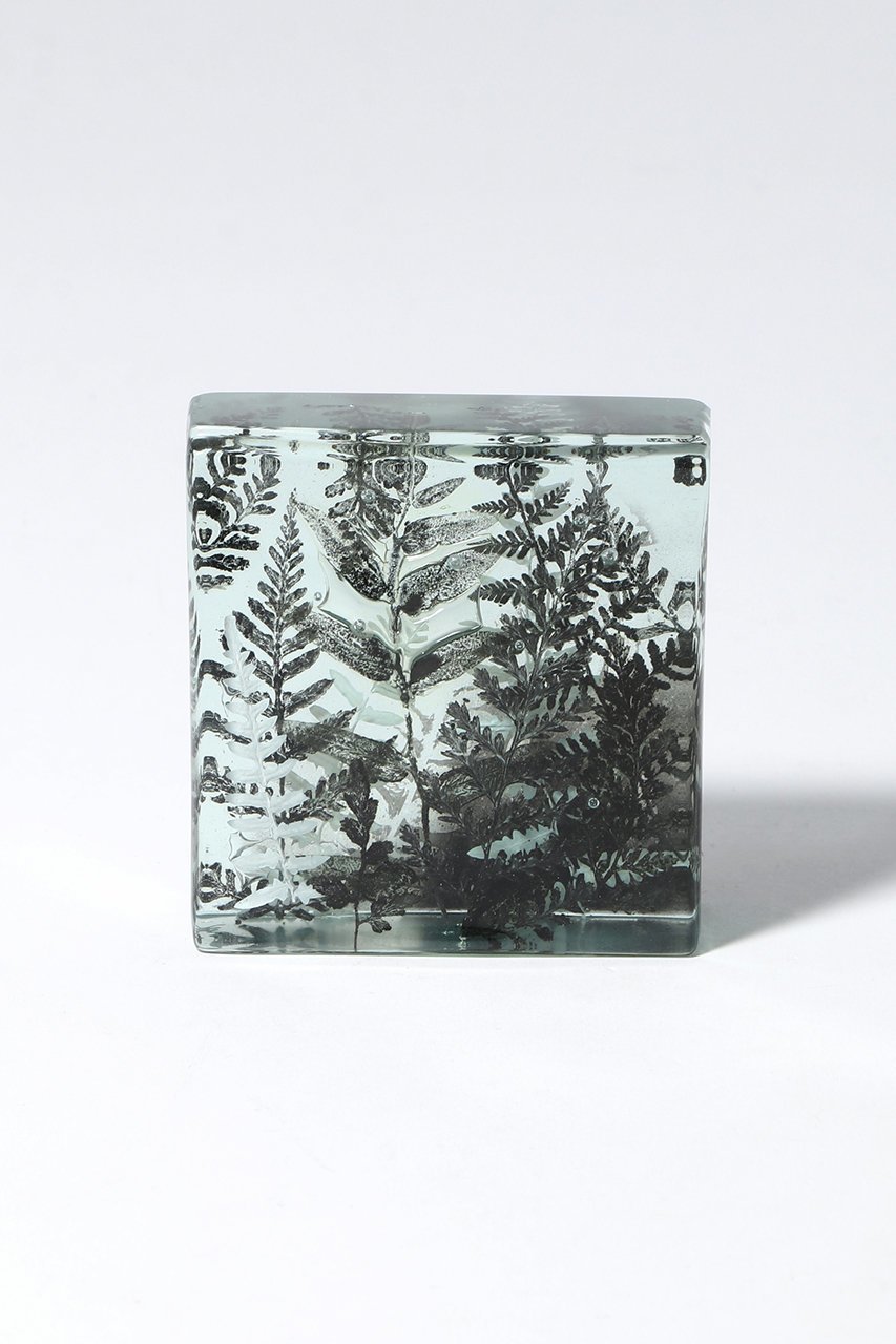 【その他のブランド/Other】のBotanical Cube シダの庭 II 大人の最旬トレンドファッション＆コーディネート founy(ファウニー) 　ガラス　Glass, Glassware　新作・新入荷　New Arrivals / New In　 other-1|ID: prp329100004984077 ipo3291000000037336615