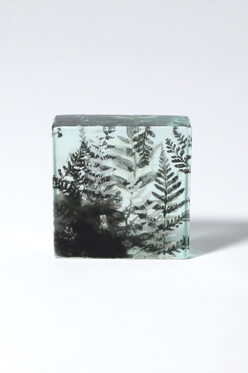 【その他のブランド/Other】のBotanical Cube シダの庭 II 大人の最旬トレンドファッション＆コーディネート founy(ファウニー) 　ガラス　Glass, Glassware　新作・新入荷　New Arrivals / New In　other-2|ID: prp329100004984077 ipo3291000000037336618