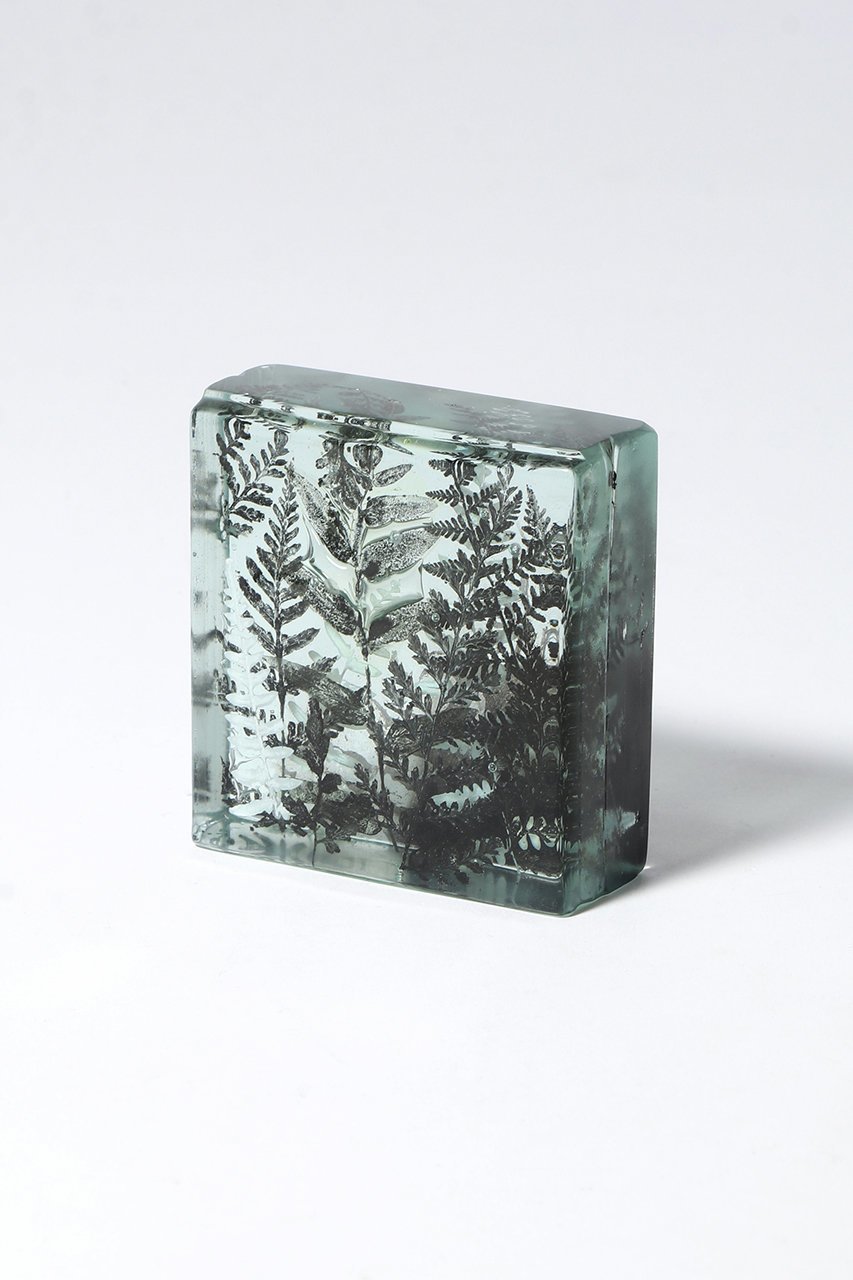 【その他のブランド/Other】のBotanical Cube シダの庭 II 大人の最旬トレンドファッション＆コーディネート founy(ファウニー) 　ガラス　Glass, Glassware　新作・新入荷　New Arrivals / New In　other-3|ID: prp329100004984077 ipo3291000000037336620