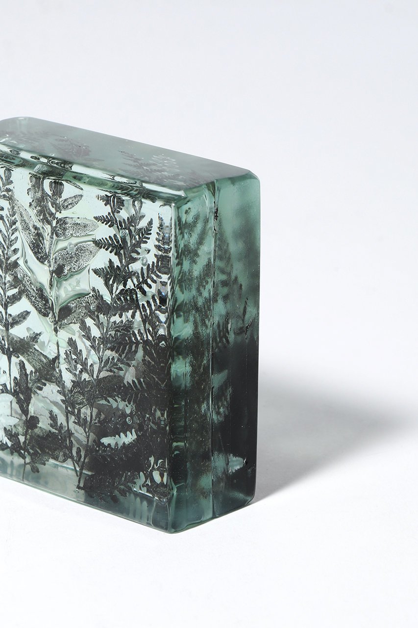 【その他のブランド/Other】のBotanical Cube シダの庭 II 大人の最旬トレンドファッション＆コーディネート founy(ファウニー) 　ガラス　Glass, Glassware　新作・新入荷　New Arrivals / New In　other-4|ID: prp329100004984077 ipo3291000000037336622