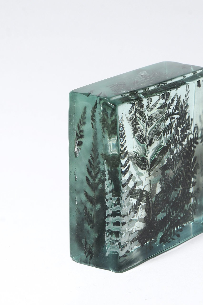【その他のブランド/Other】のBotanical Cube シダの庭 II 大人の最旬トレンドファッション＆コーディネート founy(ファウニー) 　ガラス　Glass, Glassware　新作・新入荷　New Arrivals / New In　other-5|ID: prp329100004984077 ipo3291000000037336624