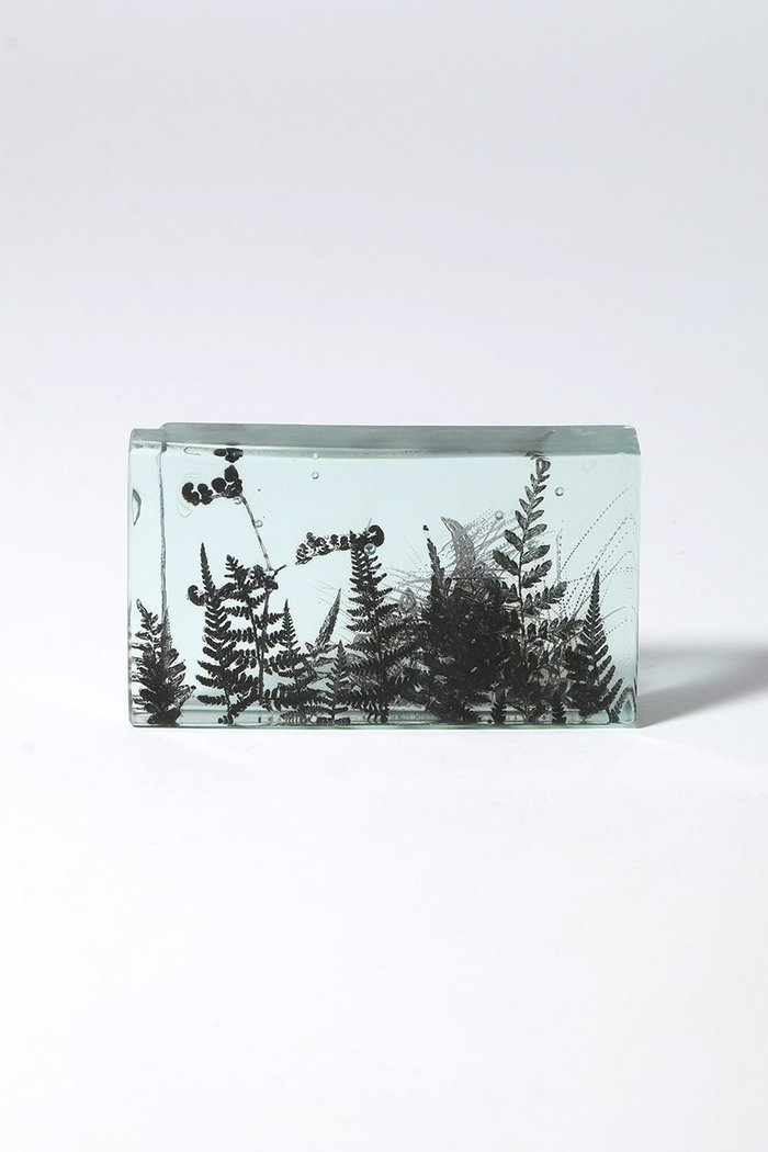 【ミエ マツバラ/Mie Matsuyama / GOODS】のBotanical Cube シダの庭 I インテリア・キッズ・メンズ・レディースファッション・服の通販 founy(ファウニー) https://founy.com/ ガラス Glass, Glassware 新作・新入荷 New Arrivals / New In |ID: prp329100004984079 ipo3291000000037336632