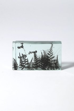 【その他のブランド/Other】のBotanical Cube シダの庭 I 大人の最旬トレンドファッション＆コーディネート founy(ファウニー) ガラス Glass, Glassware 新作・新入荷 New Arrivals / New In |ID:prp329100004984079