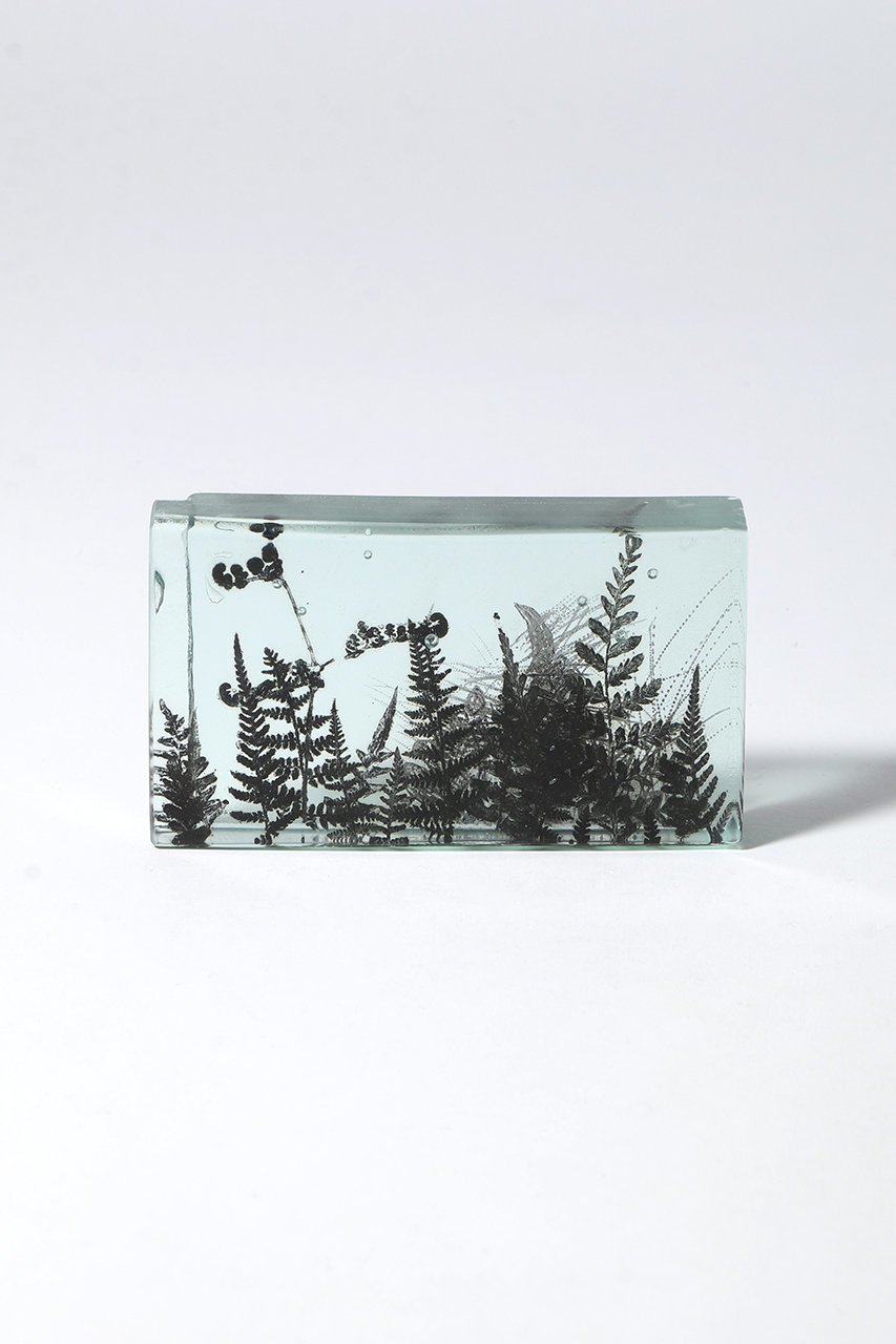 【その他のブランド/Other】のBotanical Cube シダの庭 I 大人の最旬トレンドファッション＆コーディネート founy(ファウニー) 　ガラス　Glass, Glassware　新作・新入荷　New Arrivals / New In　 other-1|ID: prp329100004984079 ipo3291000000037336632