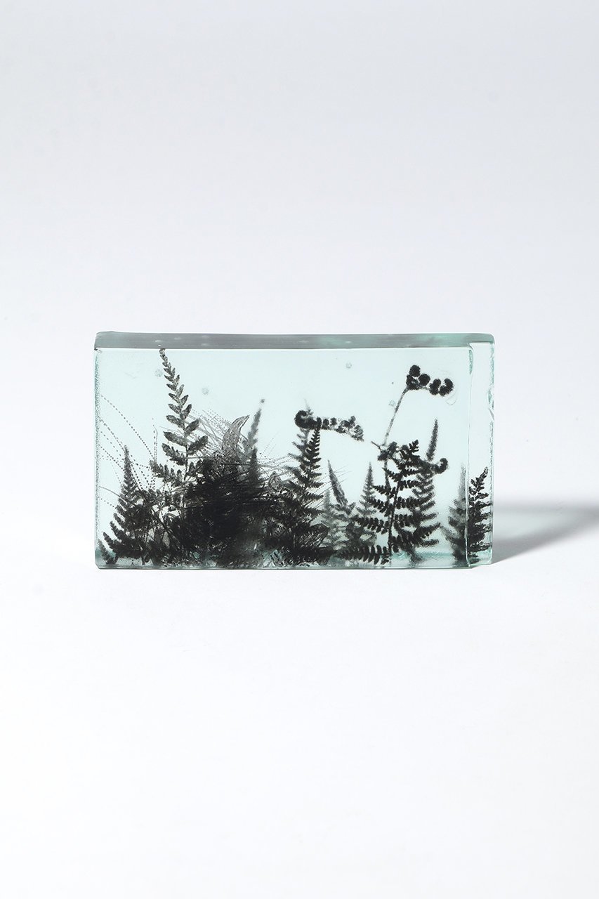 【その他のブランド/Other】のBotanical Cube シダの庭 I 大人の最旬トレンドファッション＆コーディネート founy(ファウニー) 　ガラス　Glass, Glassware　新作・新入荷　New Arrivals / New In　other-2|ID: prp329100004984079 ipo3291000000037336637