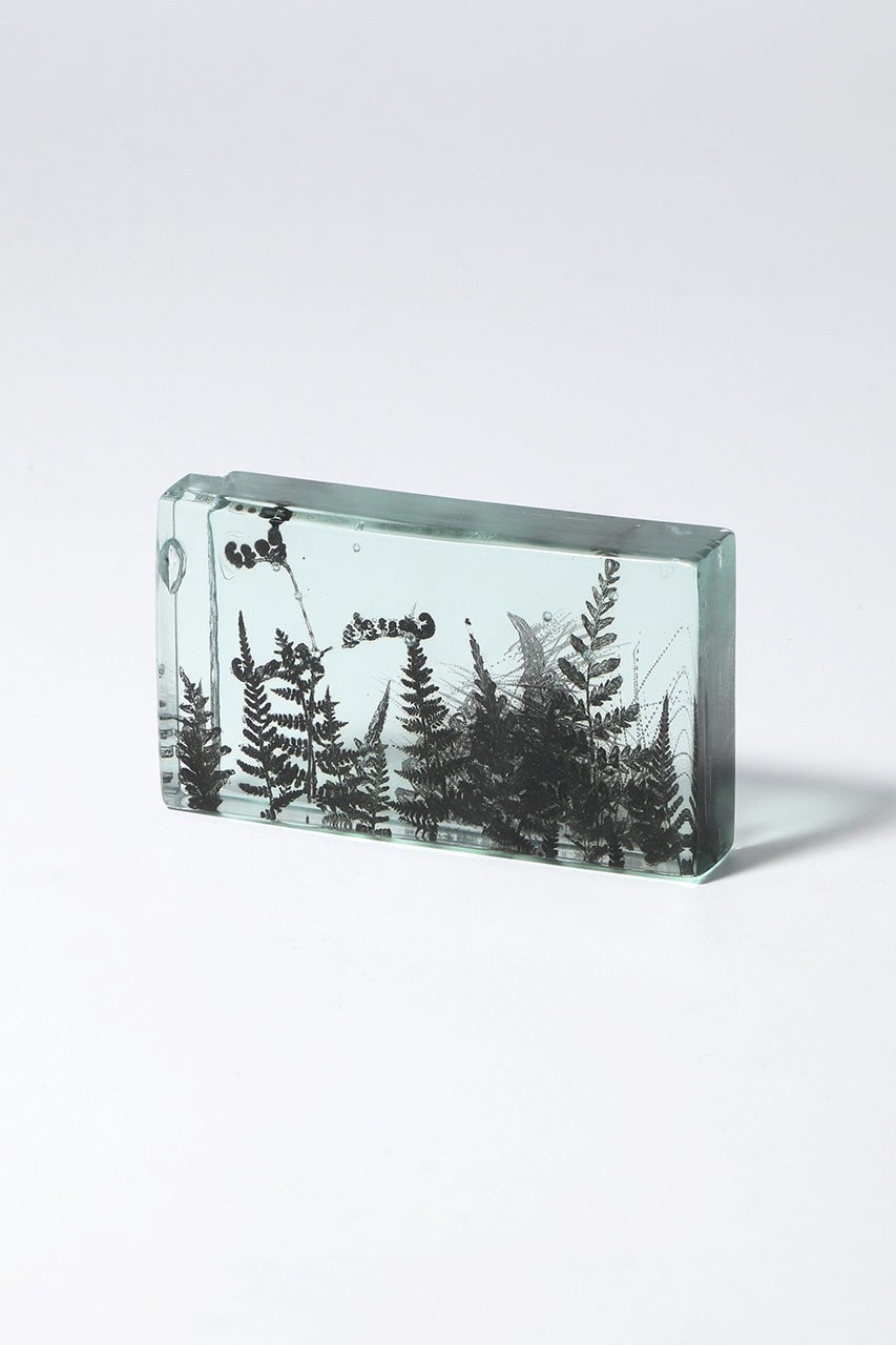 【その他のブランド/Other】のBotanical Cube シダの庭 I 大人の最旬トレンドファッション＆コーディネート founy(ファウニー) 　ガラス　Glass, Glassware　新作・新入荷　New Arrivals / New In　other-3|ID: prp329100004984079 ipo3291000000037336639